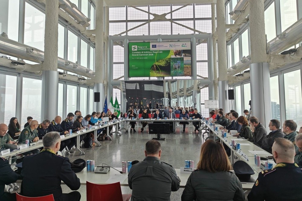 Lombardia — istituito il Comitato di Indirizzo Grandi Carnivori per monitoraggio e prevenzione