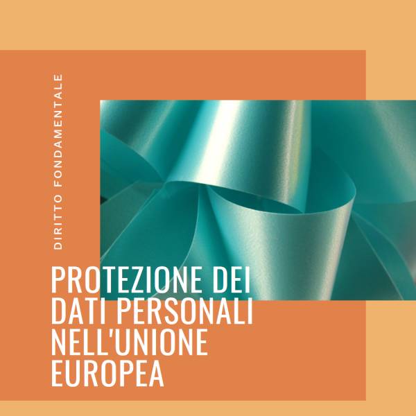 Il Diritto alla Protezione dei Dati Personali nell...