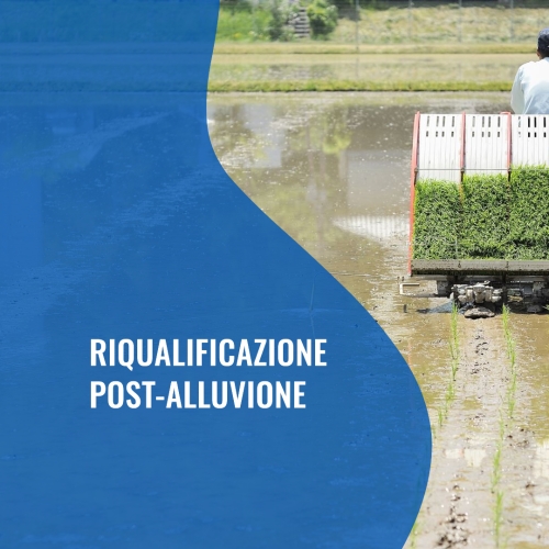 Image-Article